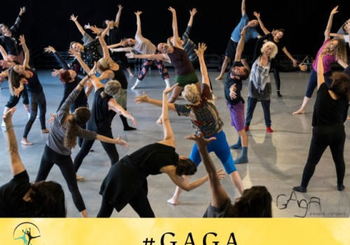 Warsztaty tańca izraelskiego – styl Gaga