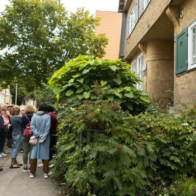 Img 1964